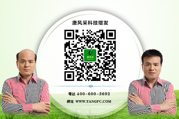 �߶dÓ�l(f��)�ٷ�΢��