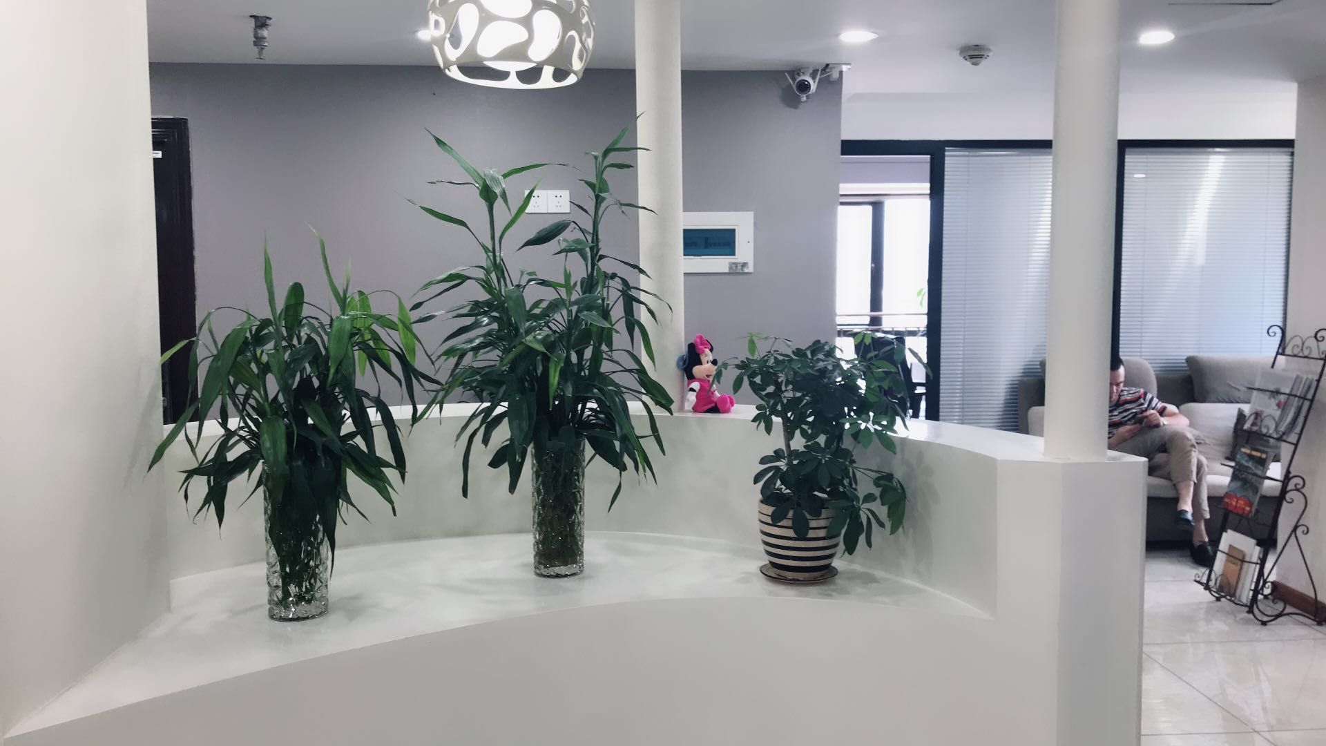 高大上！唐風(fēng)采福州店裝修升級換新容，歡迎新老客戶惠顧~