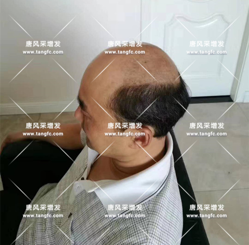 老年短假發(fā)全真發(fā)的好嗎？ 主要是用來遮白發(fā)的！